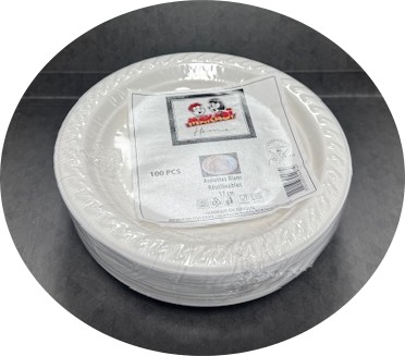 ASSIETTES BLANCHES REUTILISABLES 17 CM X100