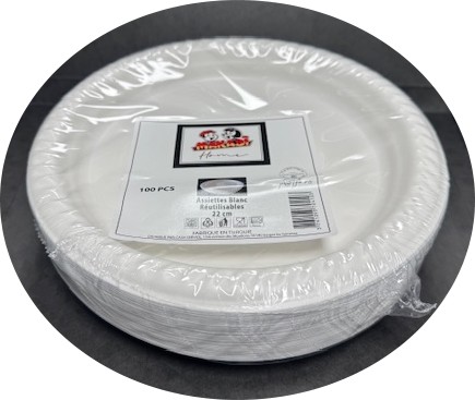 ASSIETTES BLANCHES REUTILISABLES 22CM X100