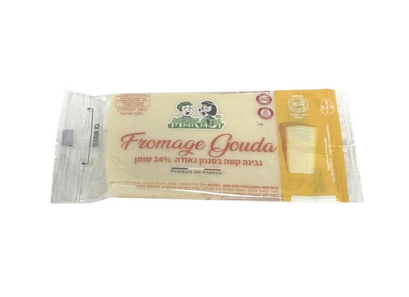 GOUDA PORTION INDIVIDUELLE 25GR
