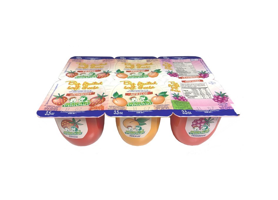 PETIT SUISSE FRUITS GRAND MODELE 